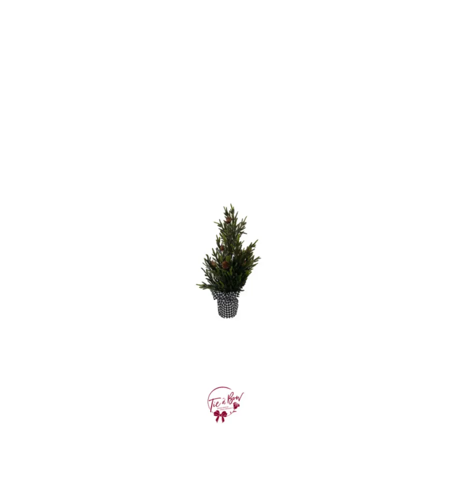 Small Pine Tree with Black and White Checkered Cloth Vase