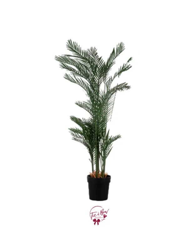 Palm Tree (Faux)