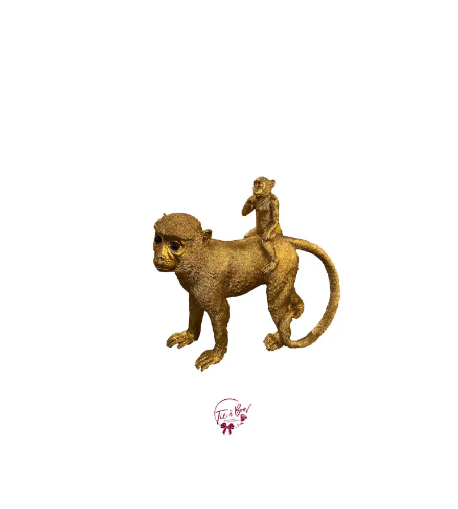 Baby Monkey Riding on Another Monkey