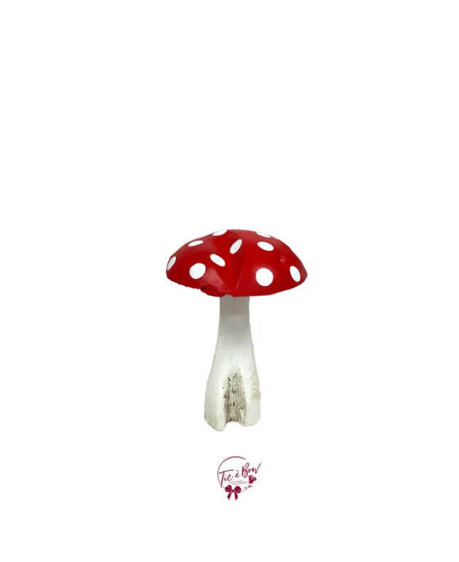 Mushroom in Red and White (Medium)
