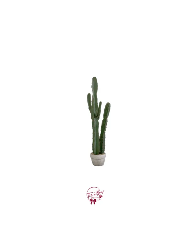 Cactus Floor Prop (Artificial)