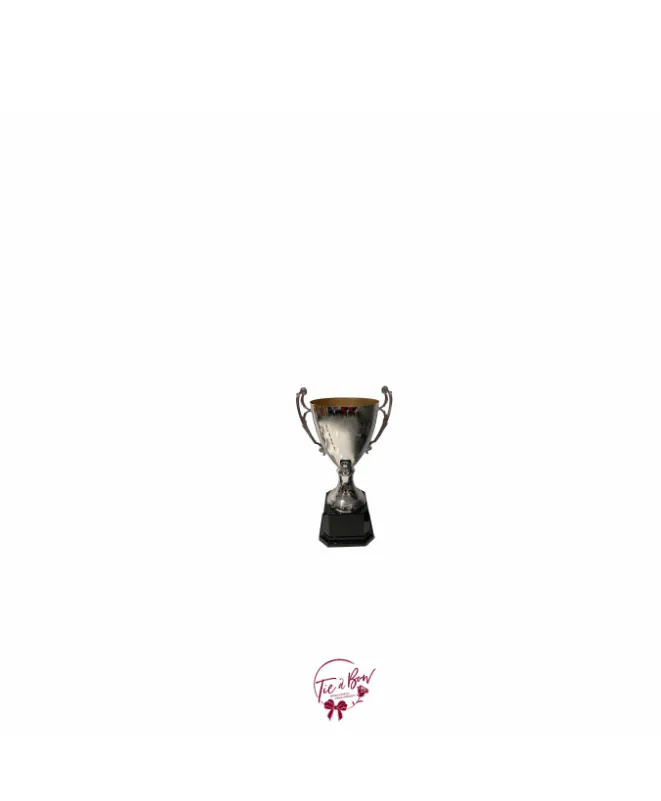 Silver and Black Trophy (Small)