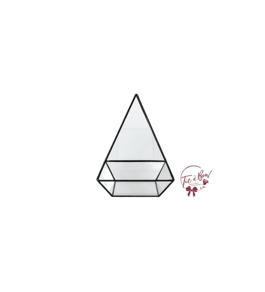 Black Pyramid Terrarium