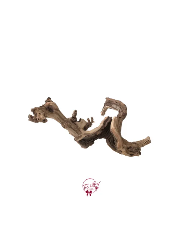 Grape Vine Branch