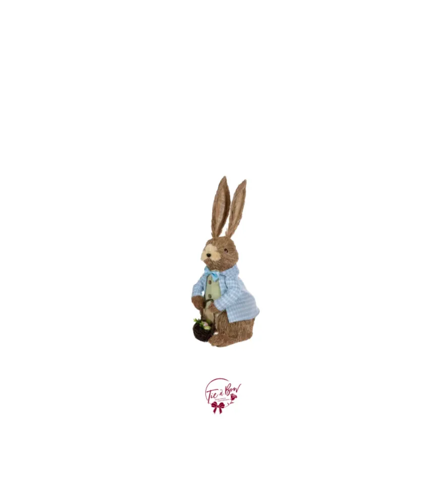 Peter Rabbit