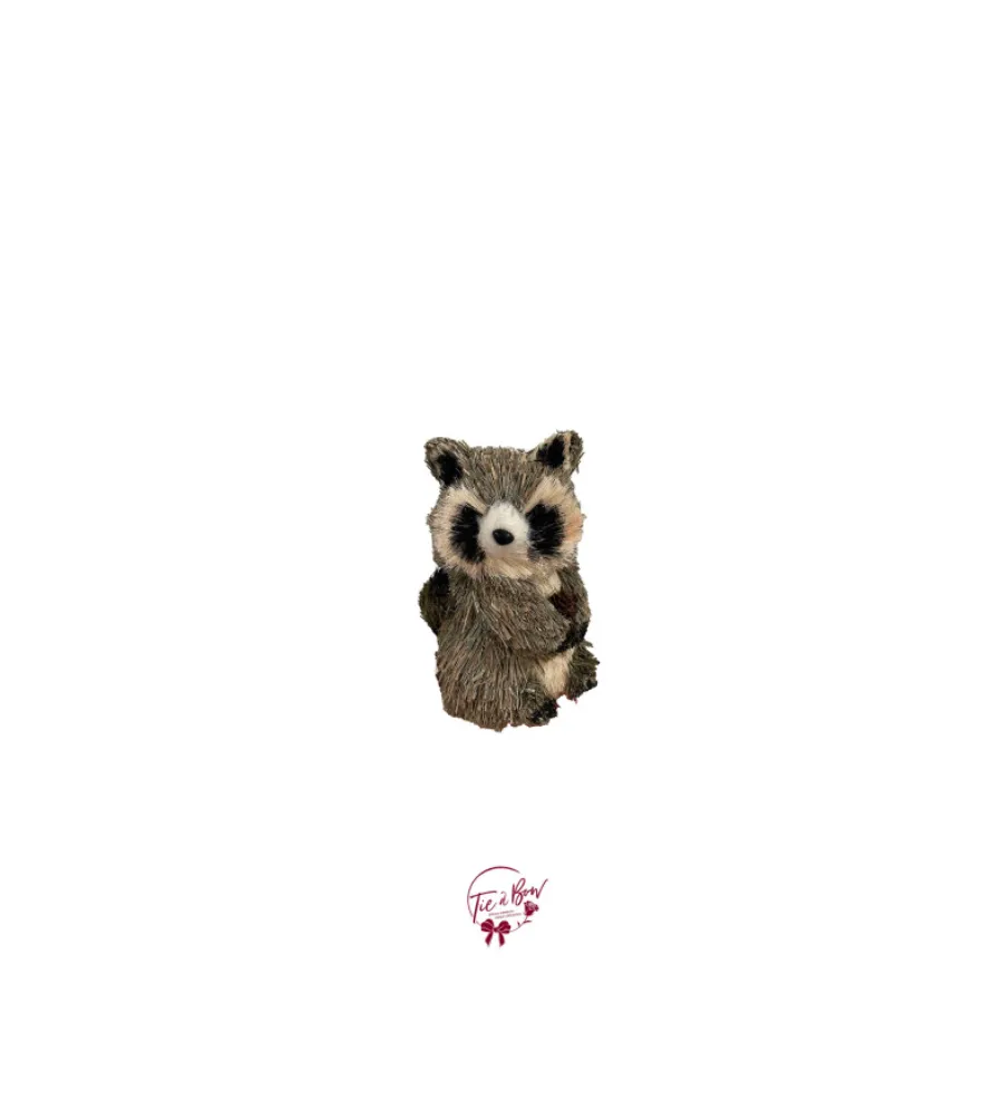 Raccoon in Sisal