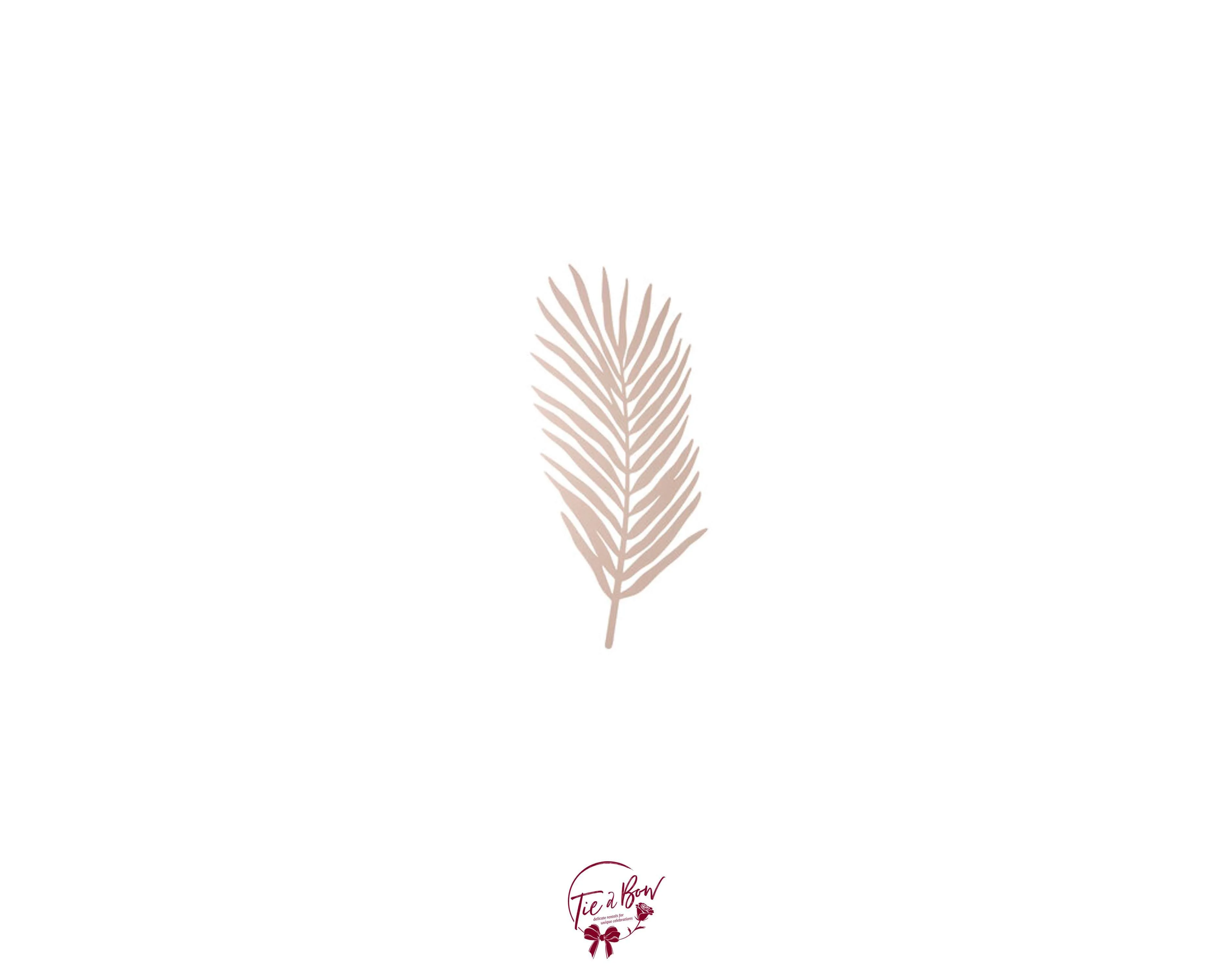 Fern Leaf in Nude