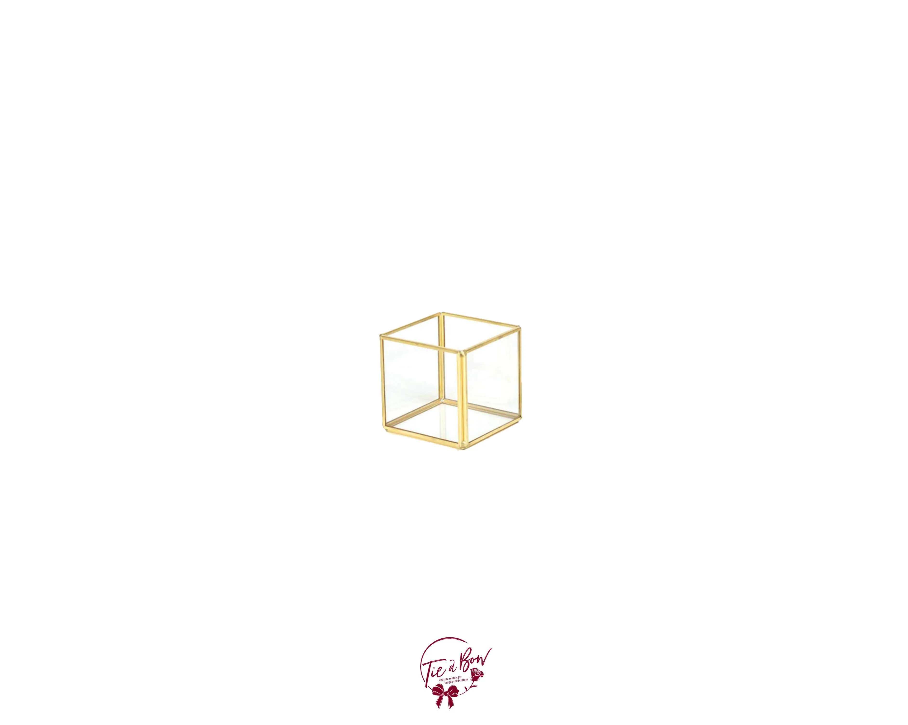 Square Petite Golden Terrarium