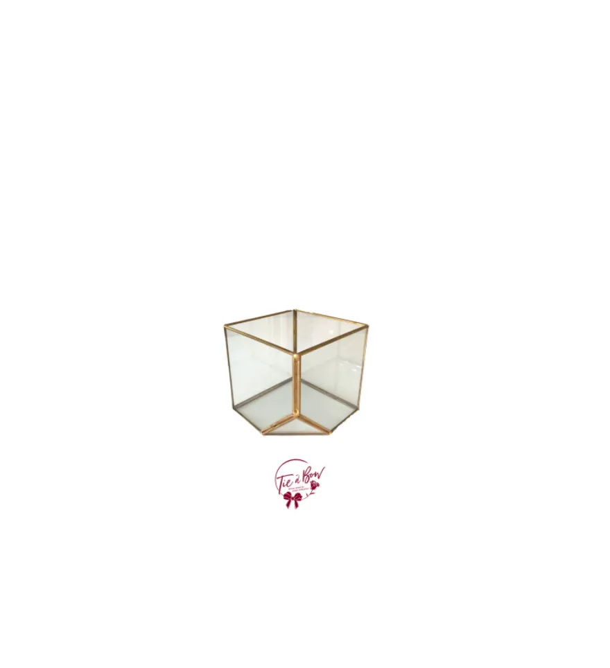 Funky Cube Golden Terrarium