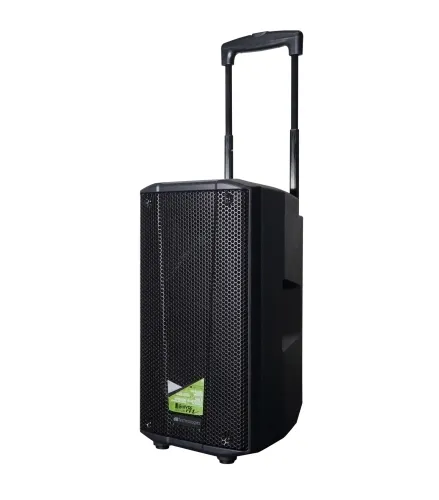 Battery bluetooth speaker with wireless mic