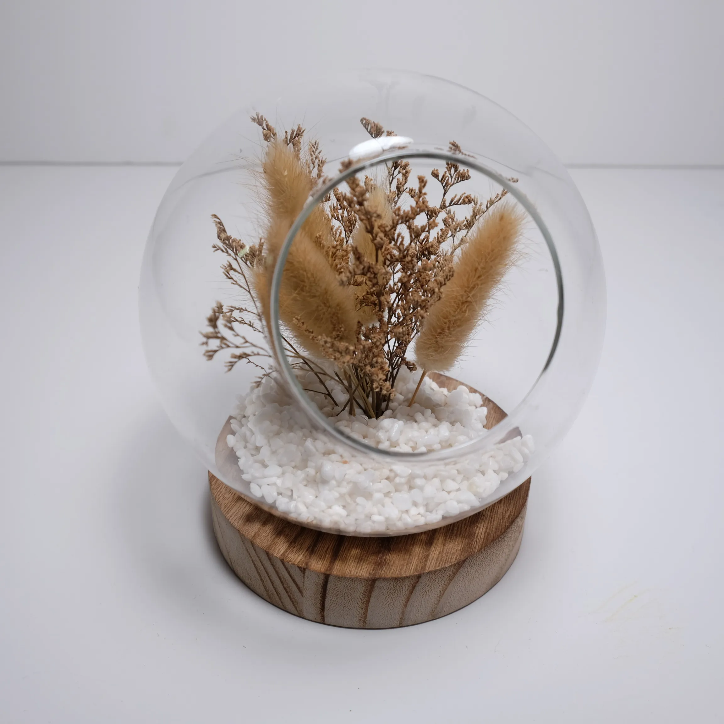 Dry Terrarium Globe