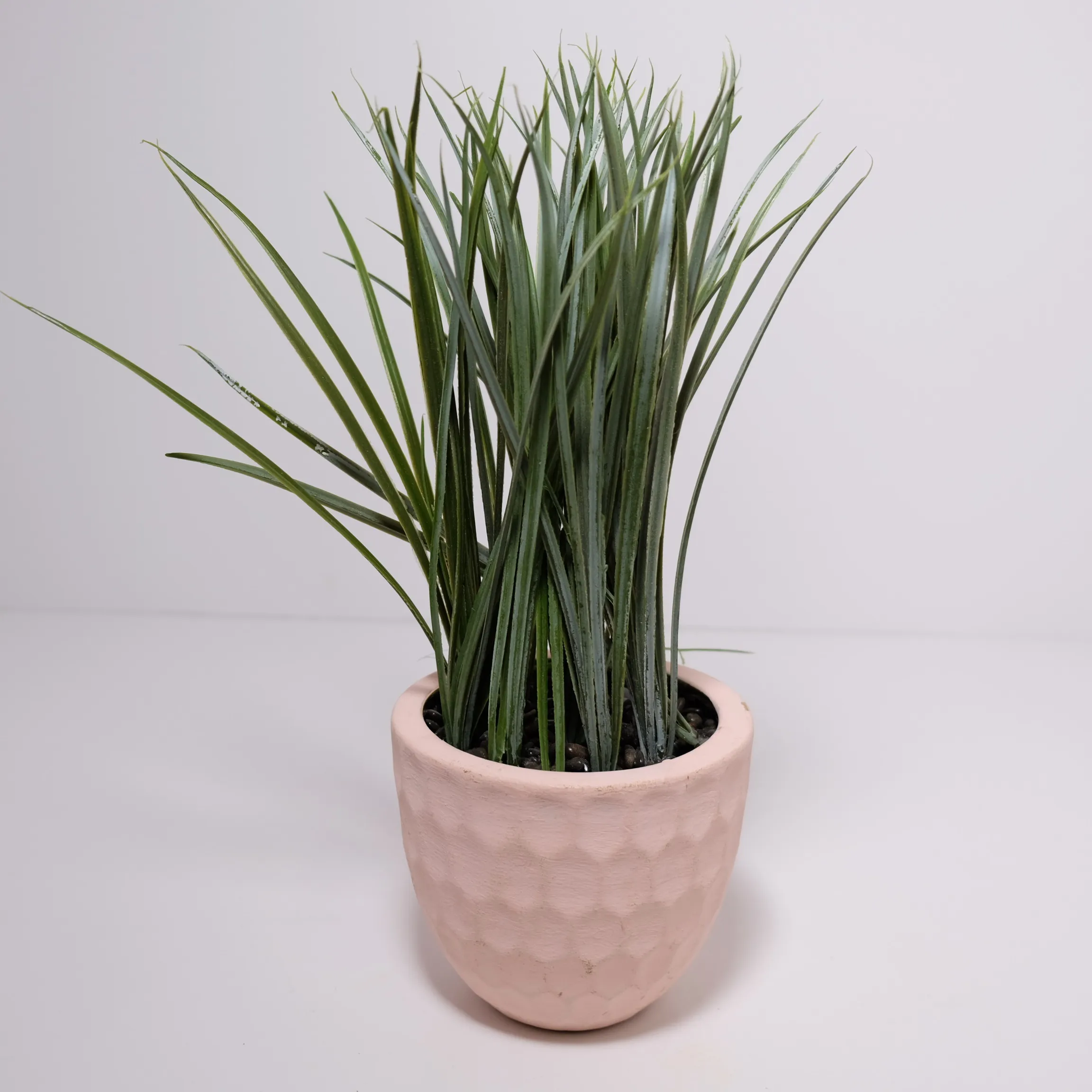 Tallgrass In Pink Pot Medium