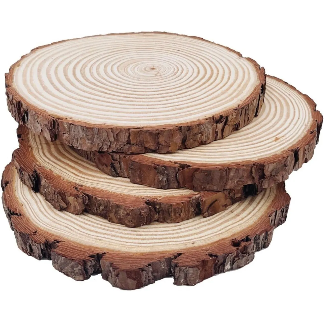 Natural Round Wood Slices - 8.2-9"
