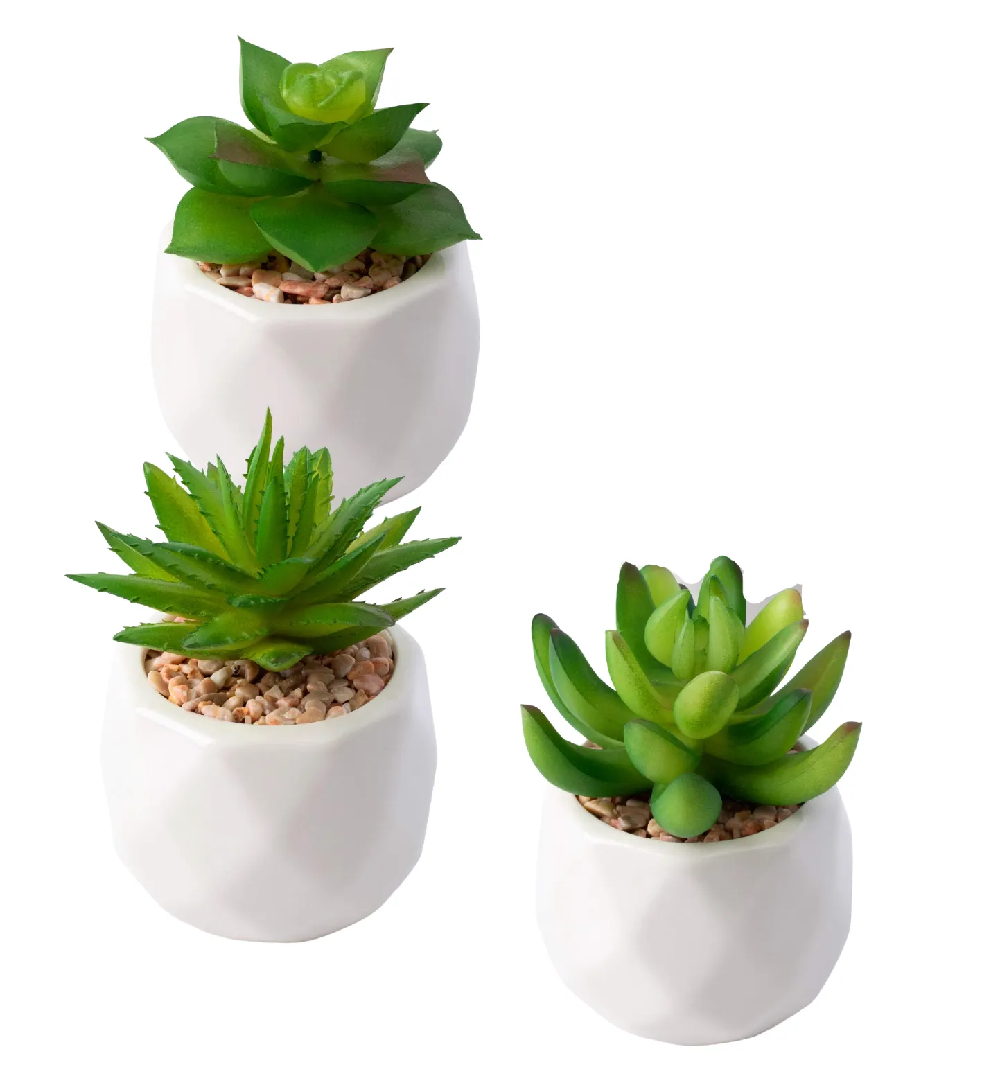 Mini Plants Succulents Set of 3