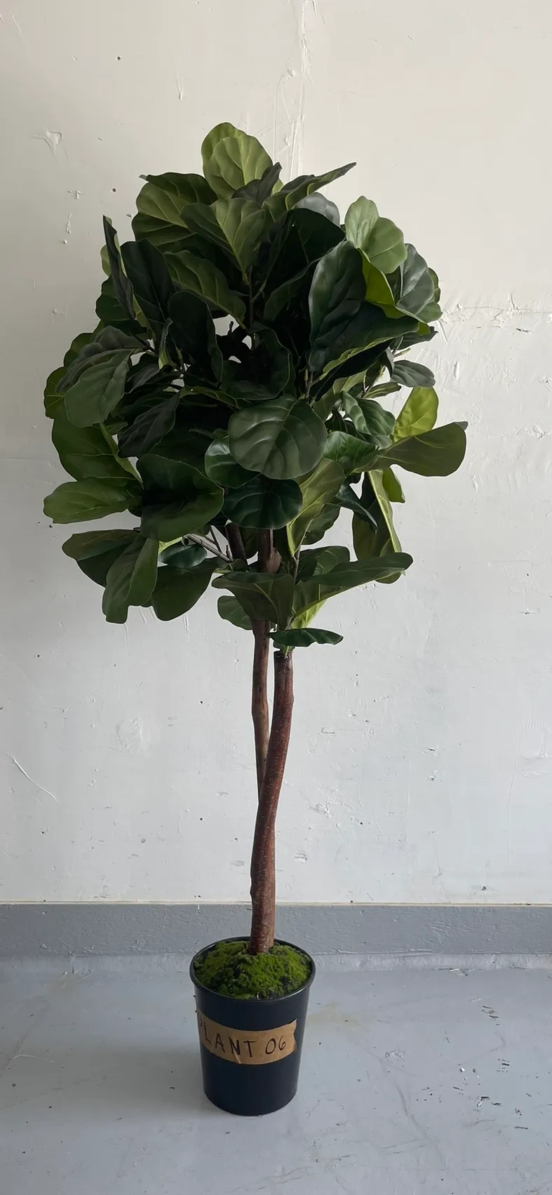 Faux Fig Tree 6'5"