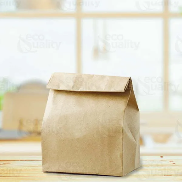 Lunch Paper Bag Brown Large