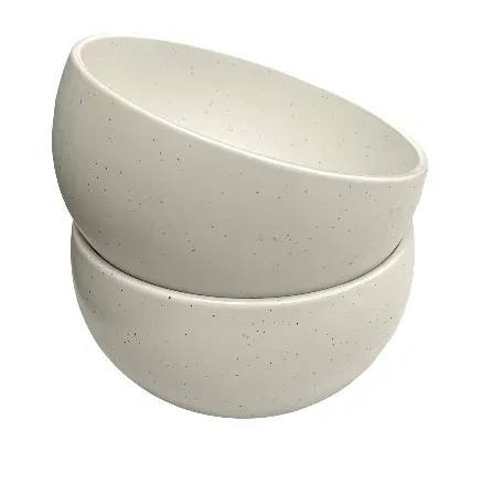 Ceramic Bowl White Set of 2