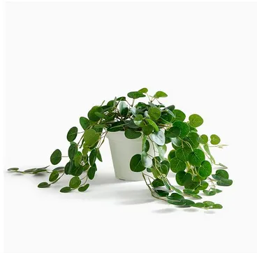 Faux Potted Trailing Leaf Plant, 25'' 