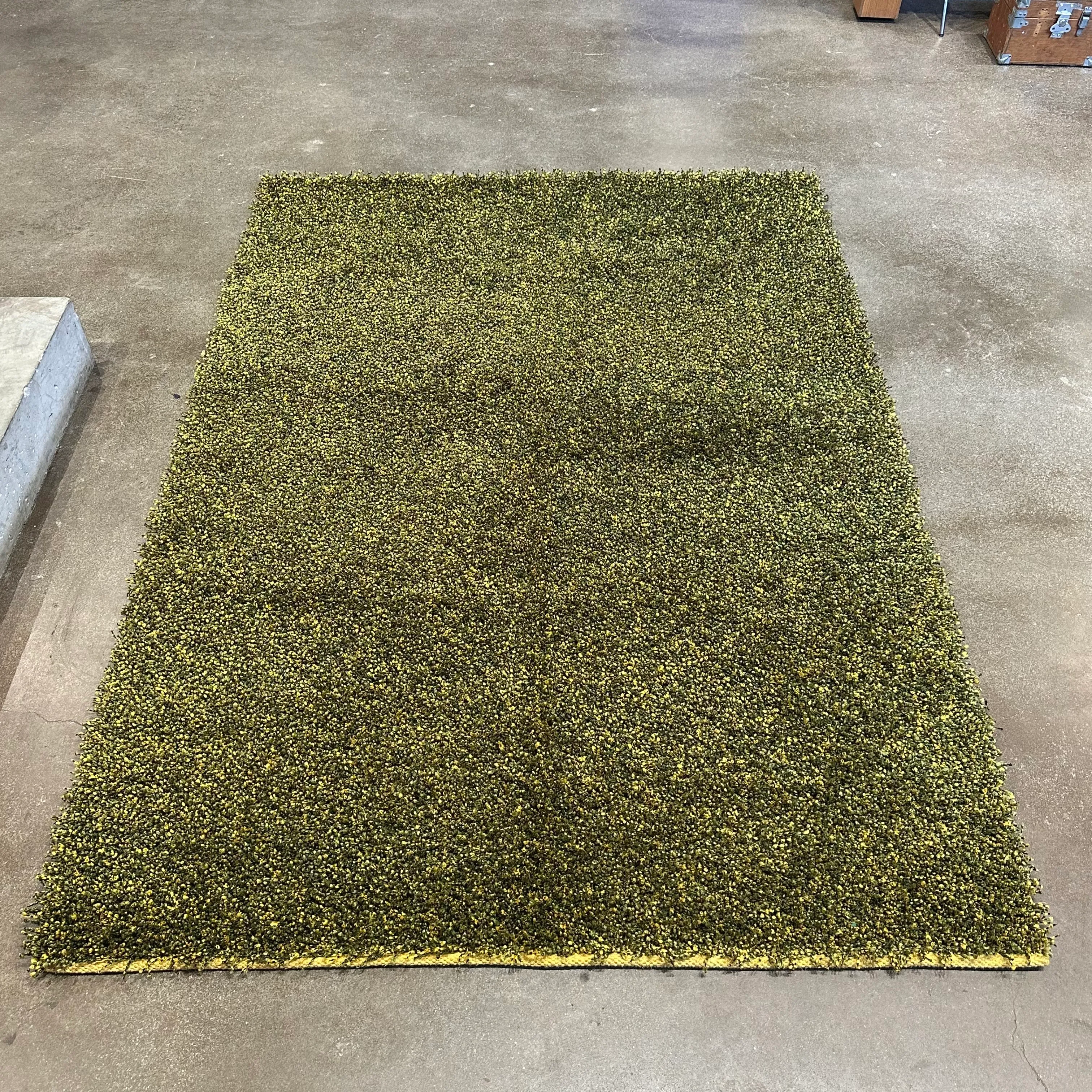 Rug - Green/Yellow - 94x64"