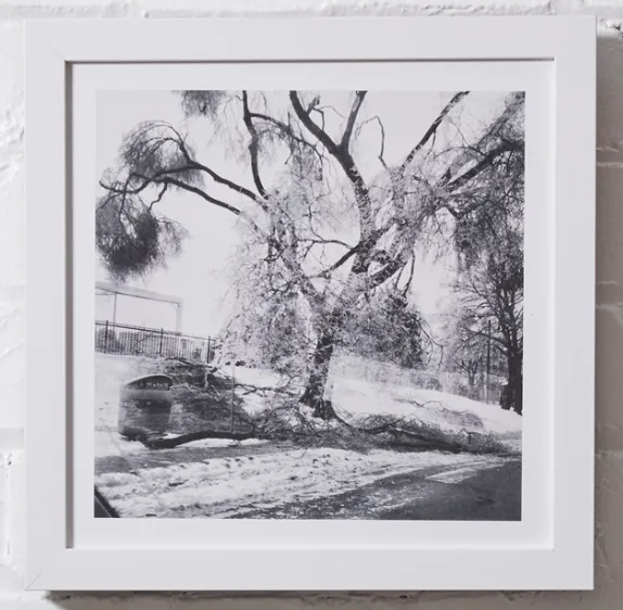 #P029 Photography Framed 10x10