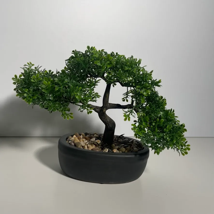 Bonsai Tree