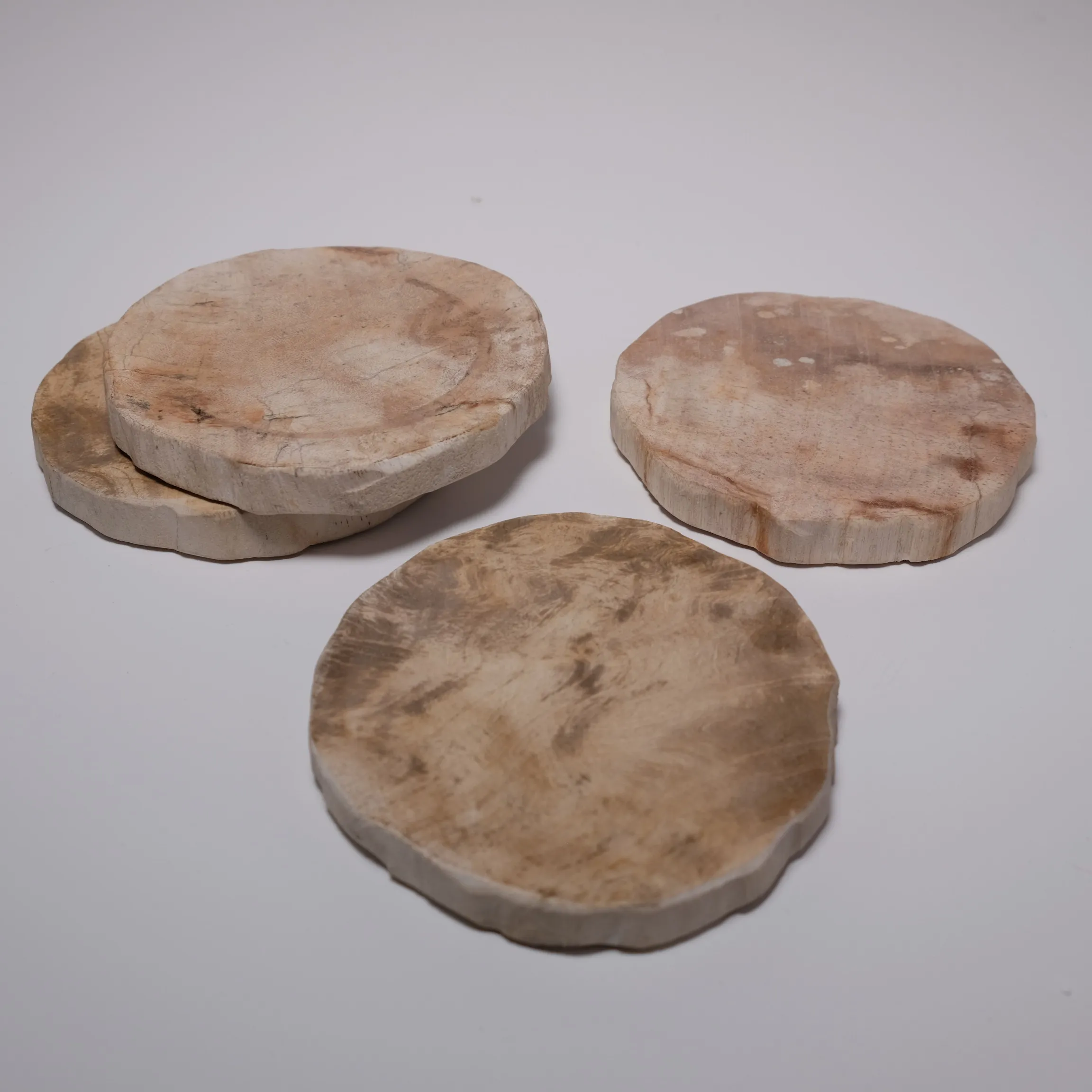 Coasters - Petrified Wood - 4pc