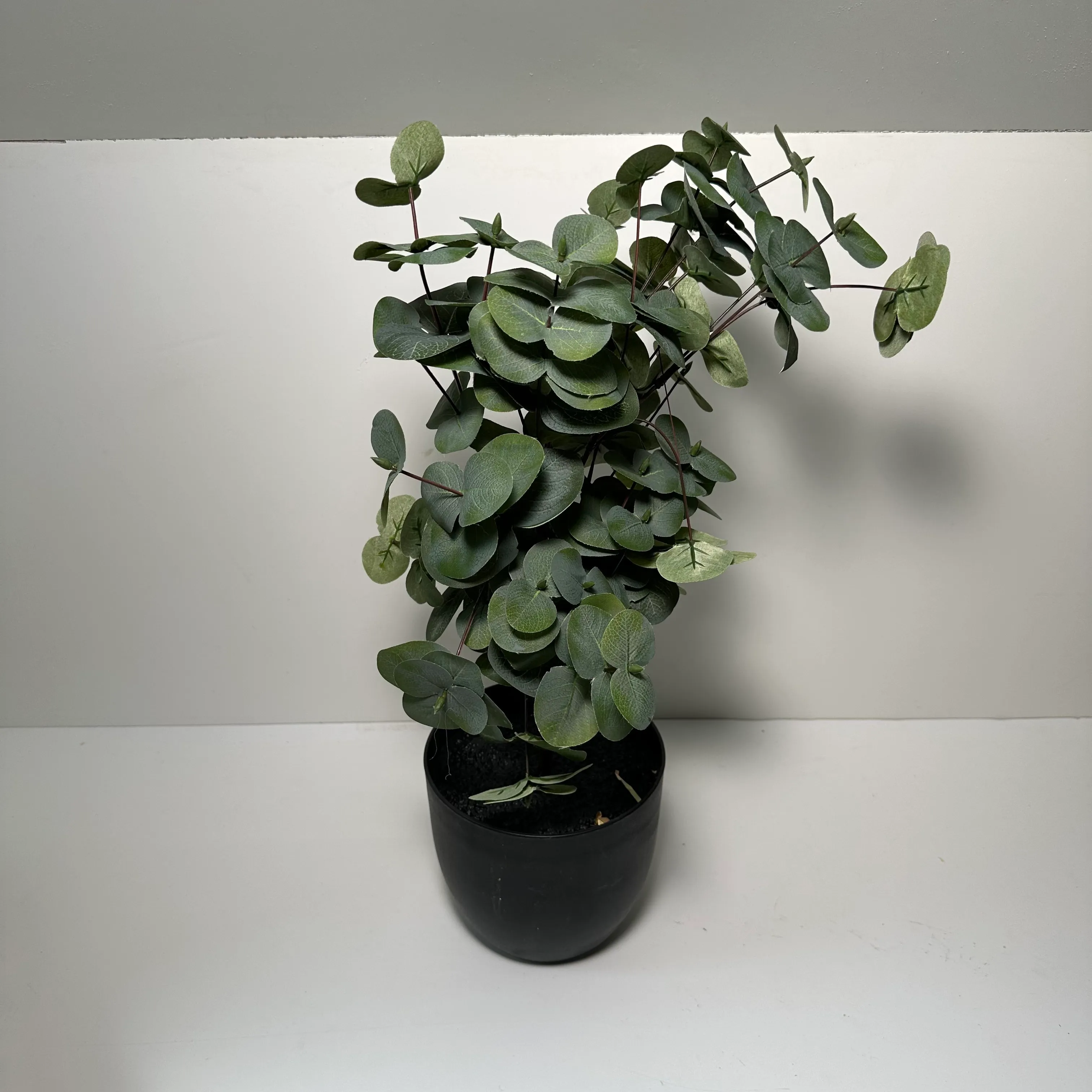 Faux Plant - Eucalyptus