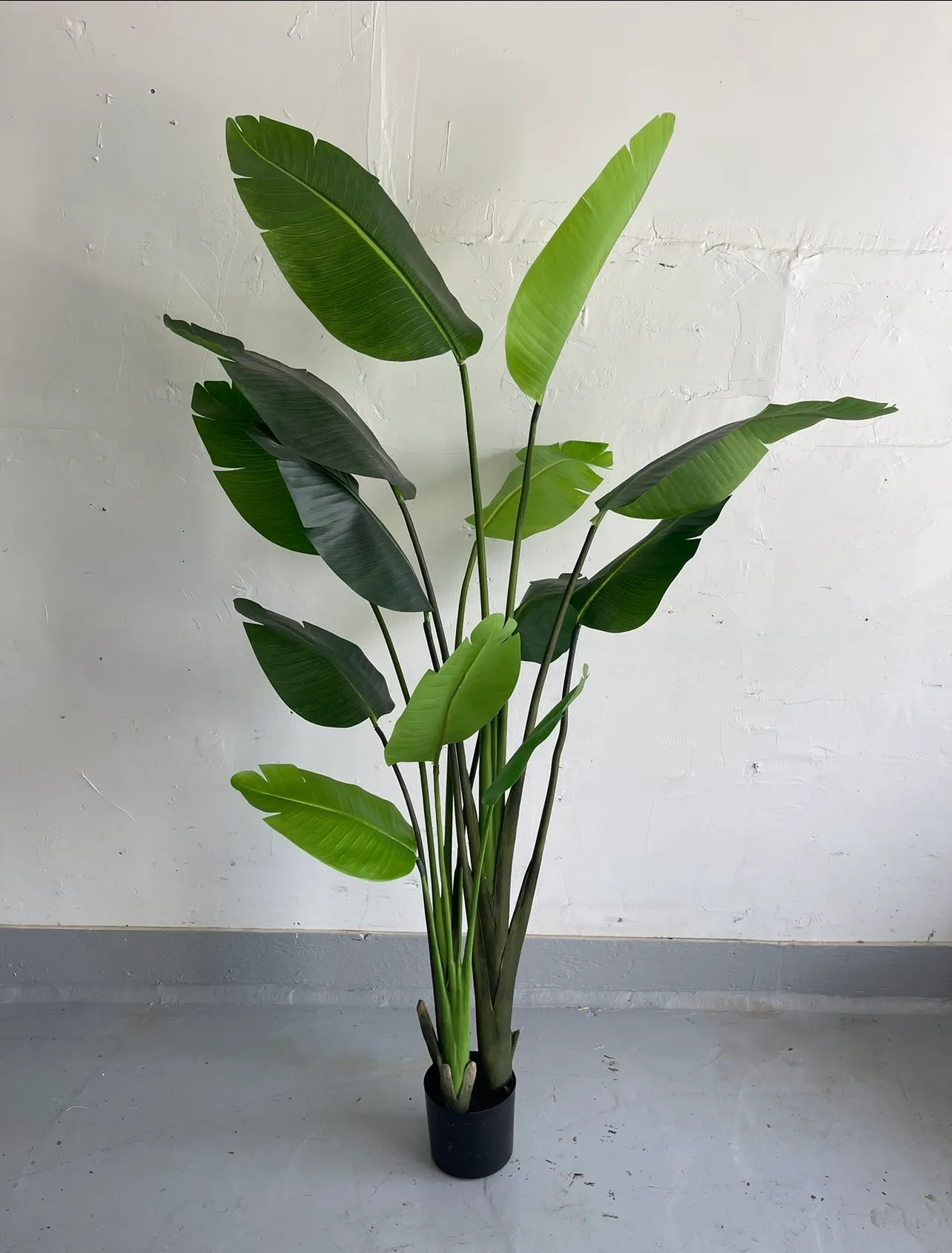 Faux Banana Leaf Plant 6ft
