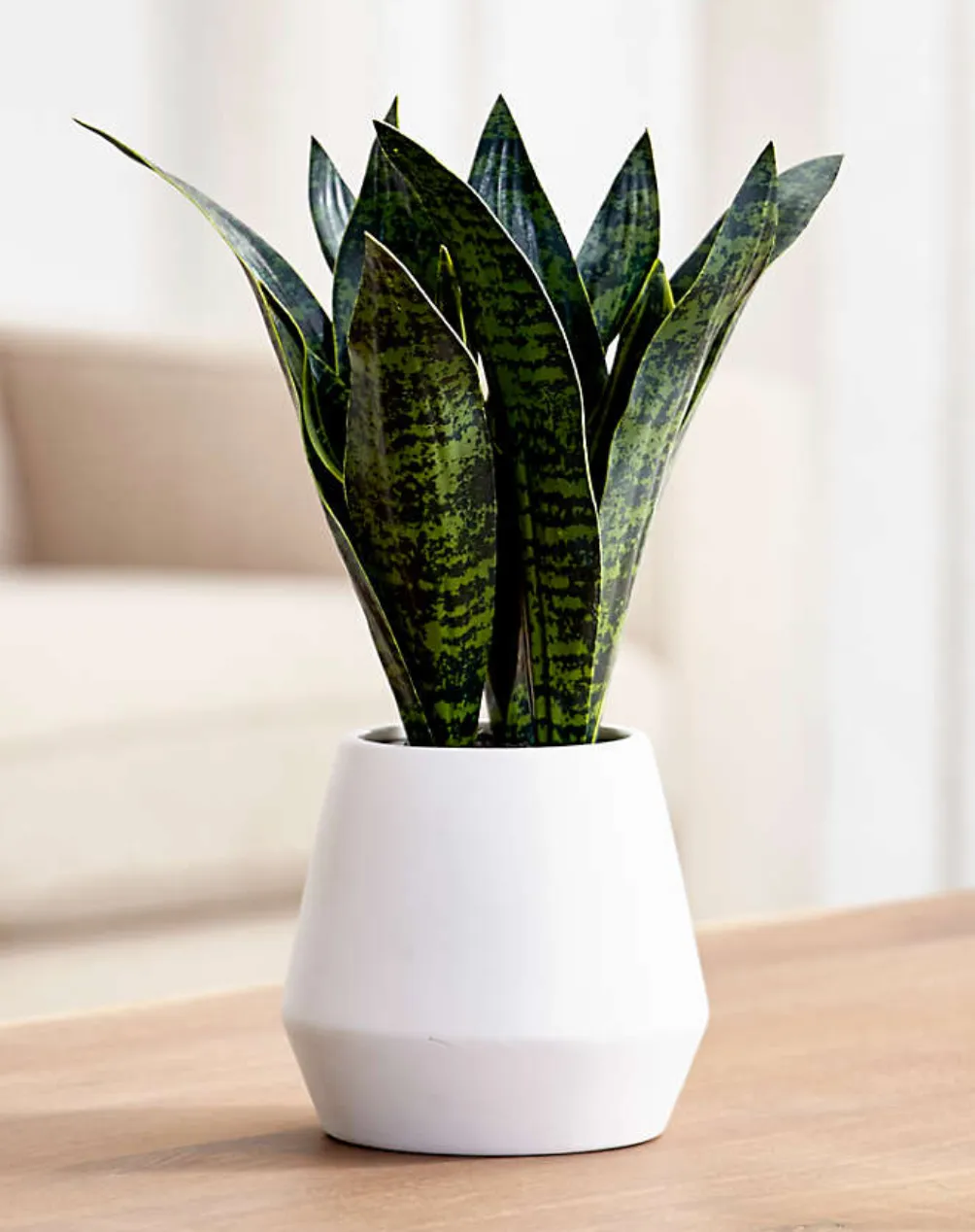 Faux Snake Plant in Pot
