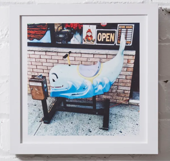 #P026 Photography Framed 10x10