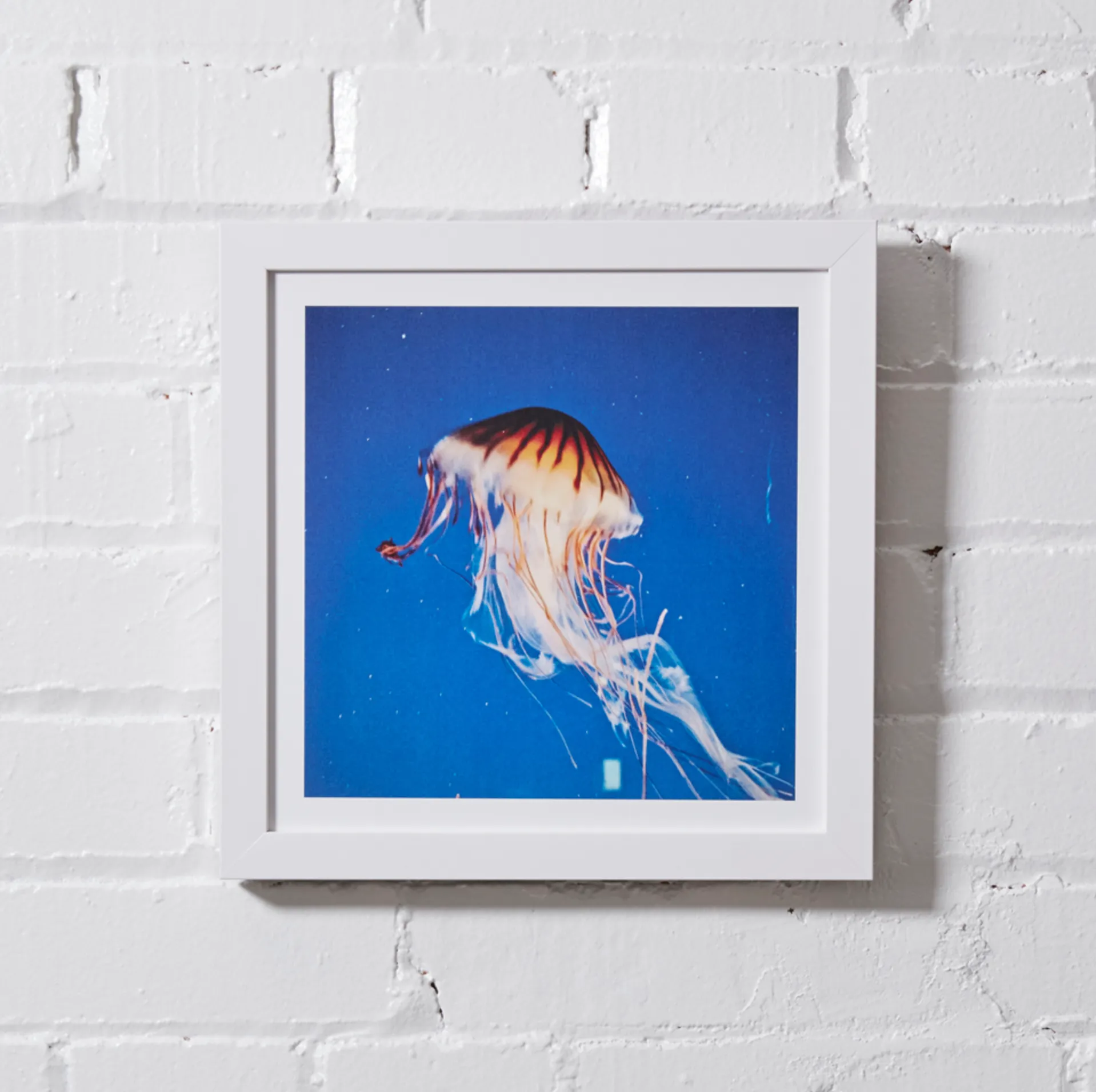 #P034 Photography Framed 10x10