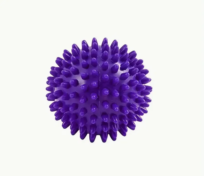 Hard Spiky Massage Ball Dog Toy Purple Medium