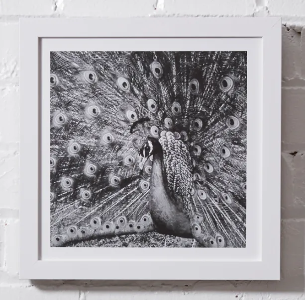 #P042 Photography Framed 10x10