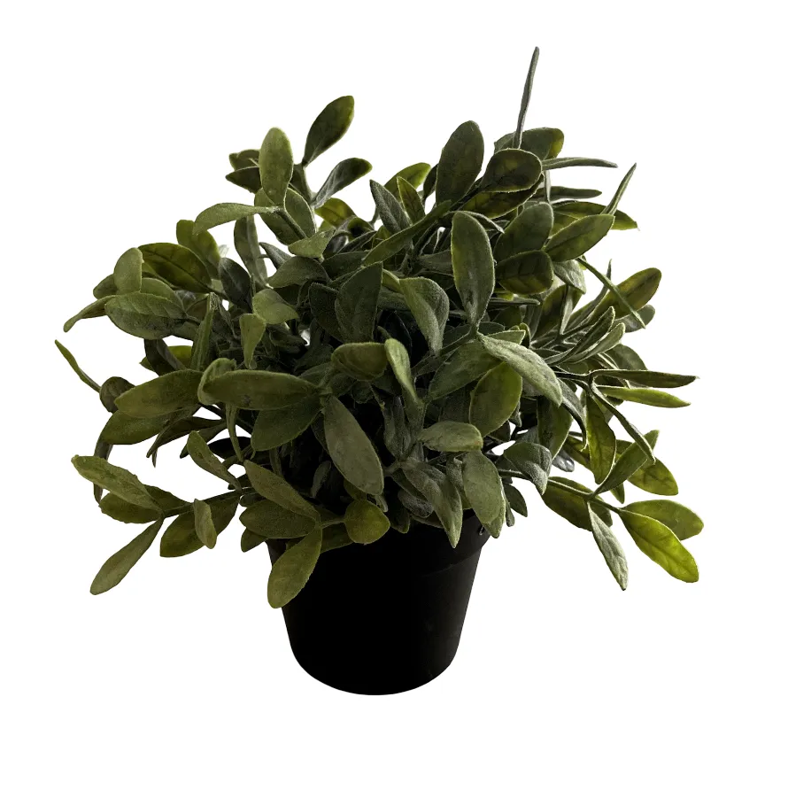 Faux Sage Plant Medium