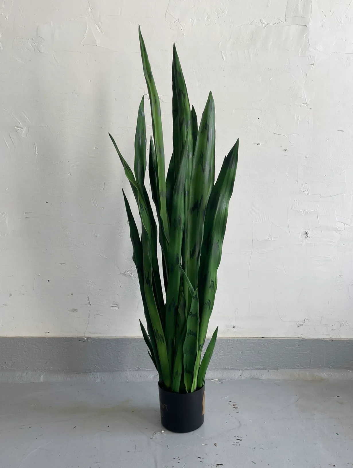 Faux Snake Plant 4'