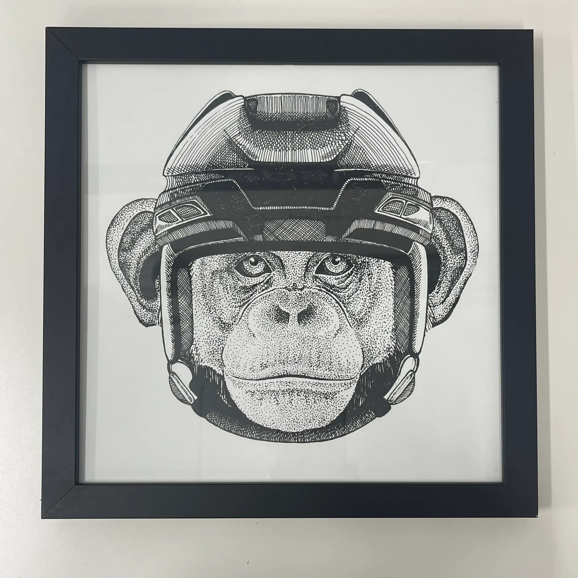 Art In Frame - Monkey - Hockey