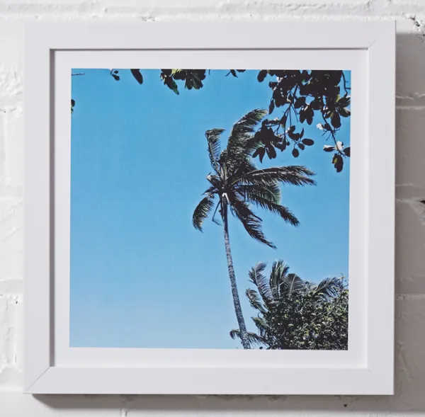 #P050 Photography Framed 10x10