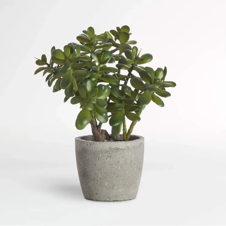 Potted Faux Jade Plant