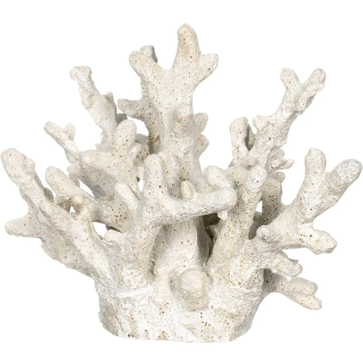 White Coral