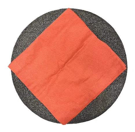 Napkins - Salmon - 6pc