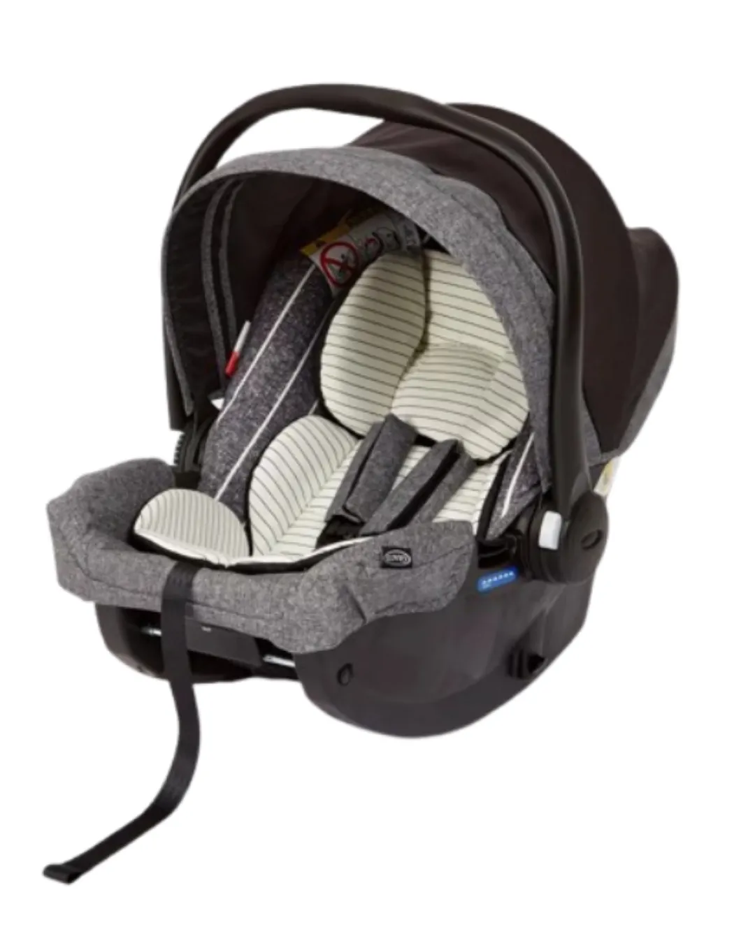 Gracco Infant + Seatbelt Base