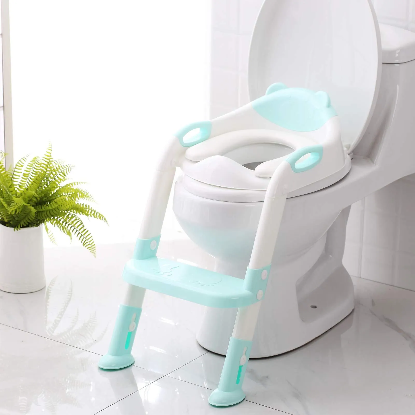Potty Training Toilet Seat with Step Stool Ladder