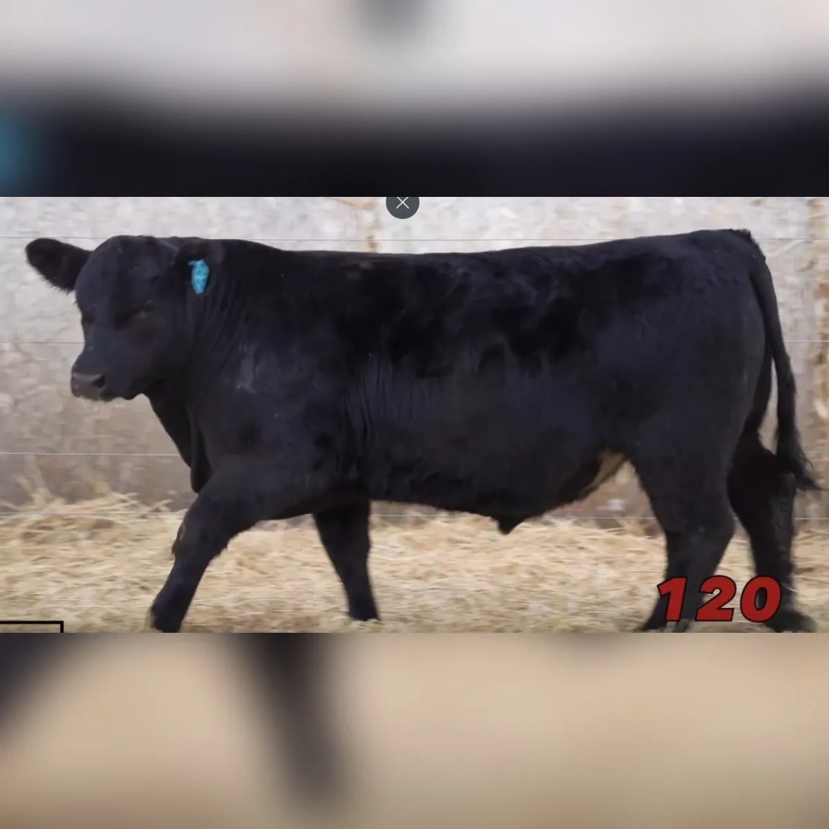 CLRS 120 November 228N