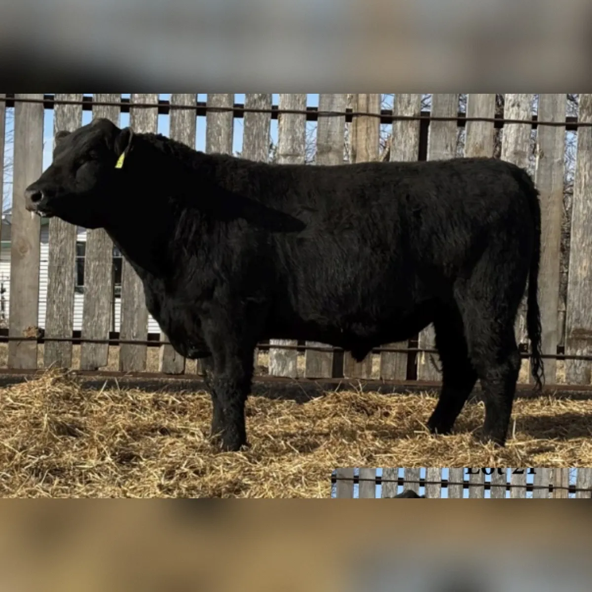 SC 21 Great Plains 463