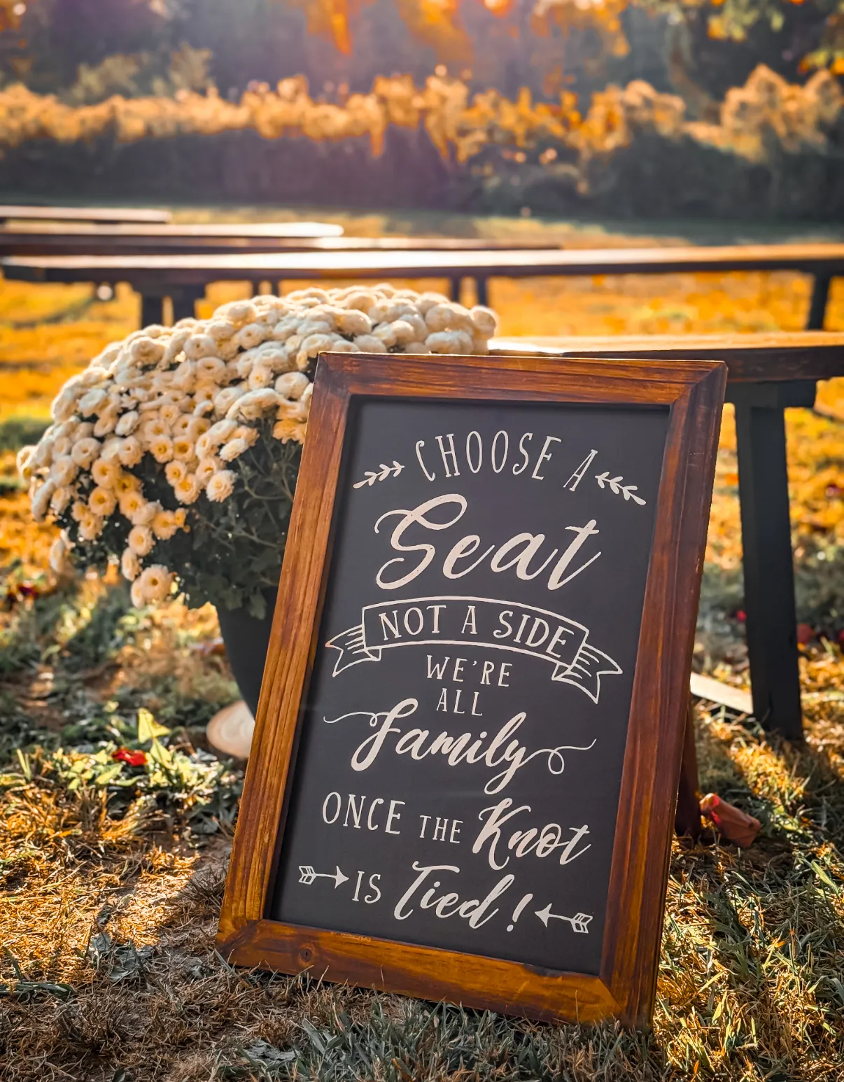 Choose a Seat not a Side Sign