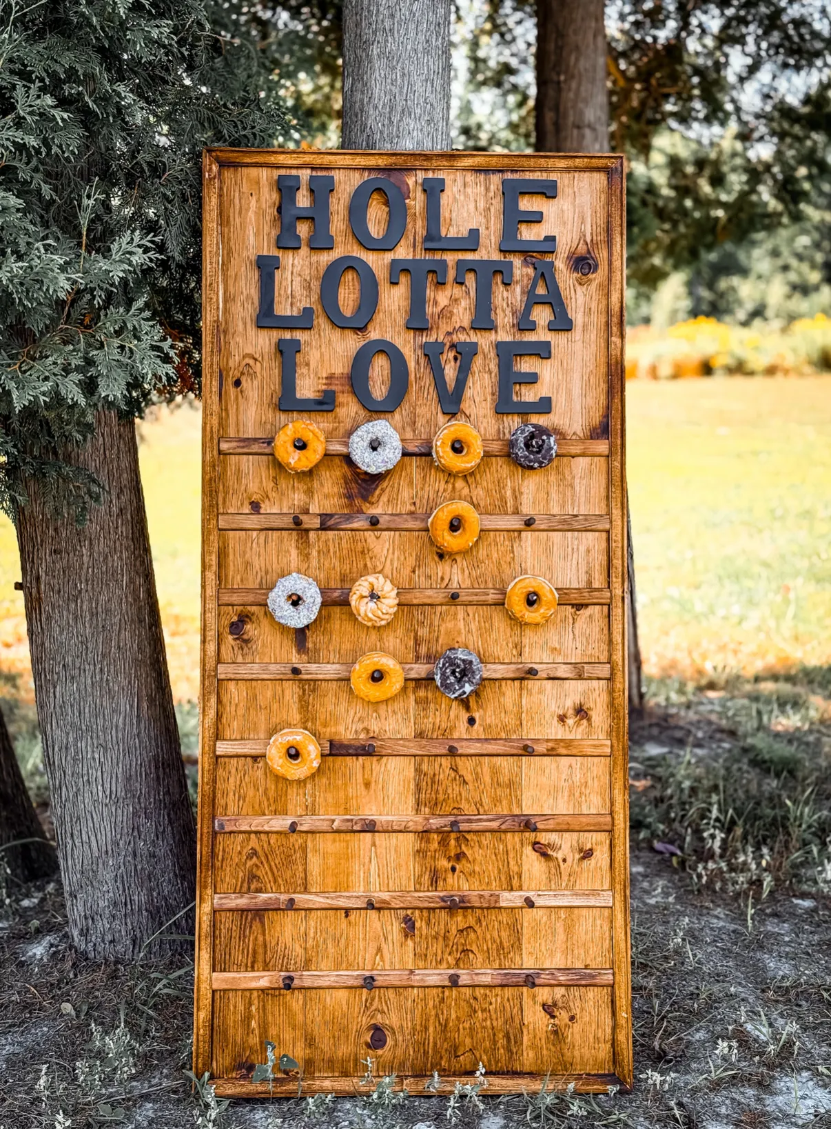 “Hole Lotta Love” Doughnut Wall