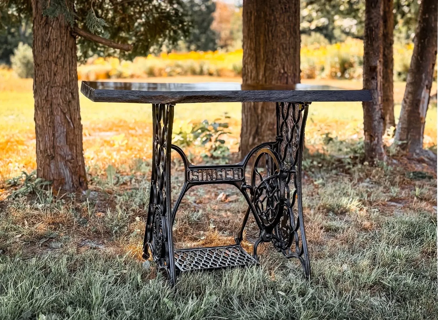 Singer Live Edge Signing Table