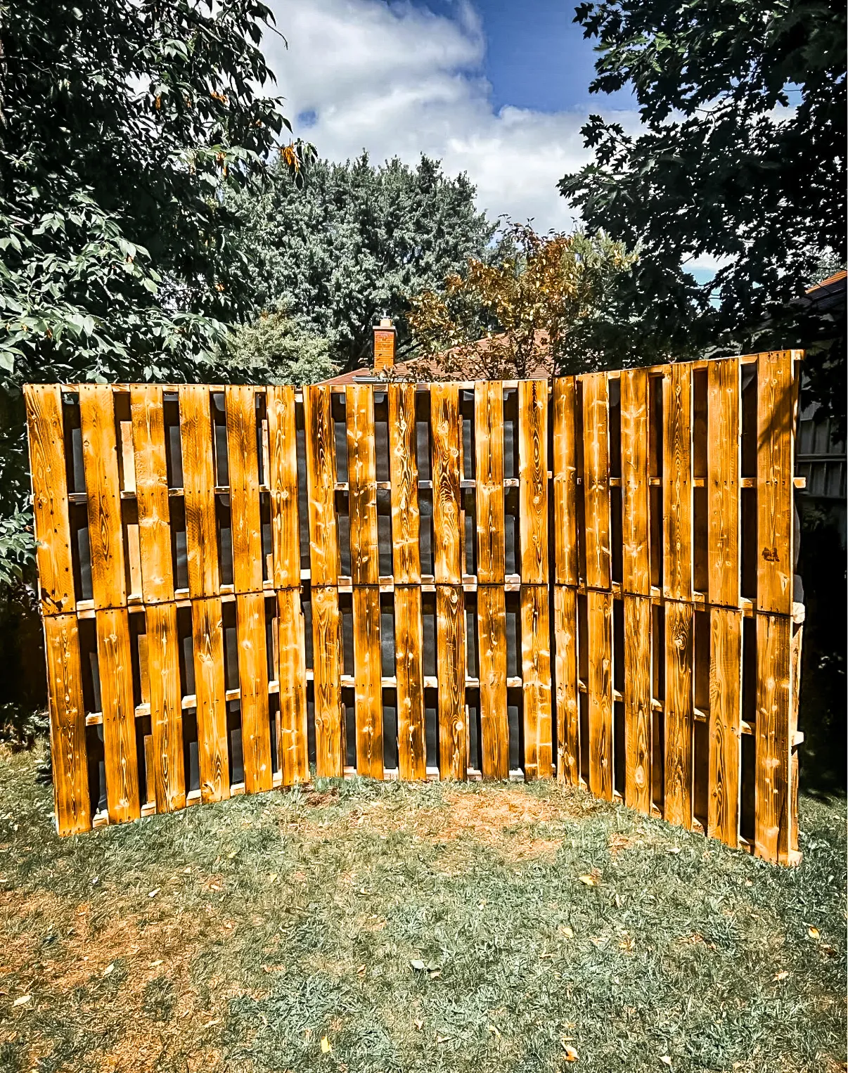 16x8 Pallet Wall