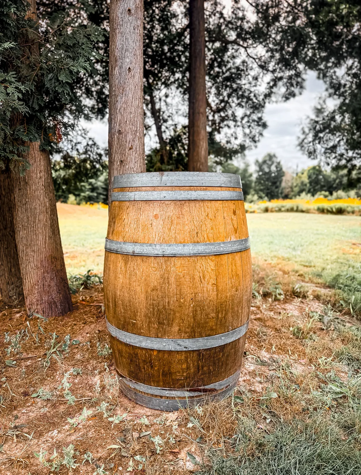 Whiskey Barrel
