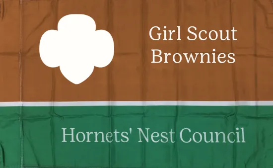 Brownie Flag
